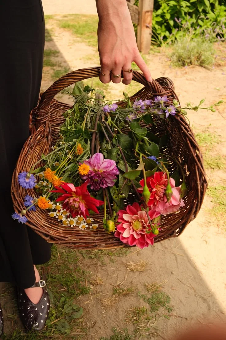 A wicker basket overflowing with bright mixed flowers in sunlight.