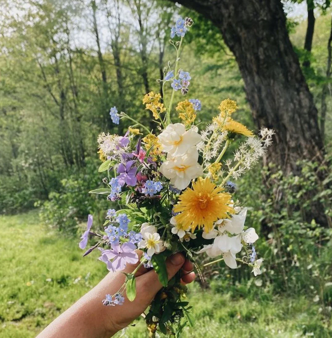 A loose posy of yellow, lavender and white flowers held beside a woodland path.