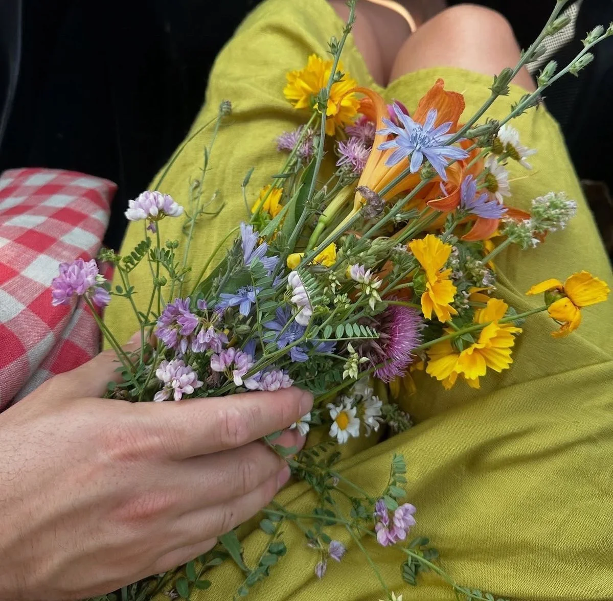 Hands holding a yellow, blue and white garden flower posy.