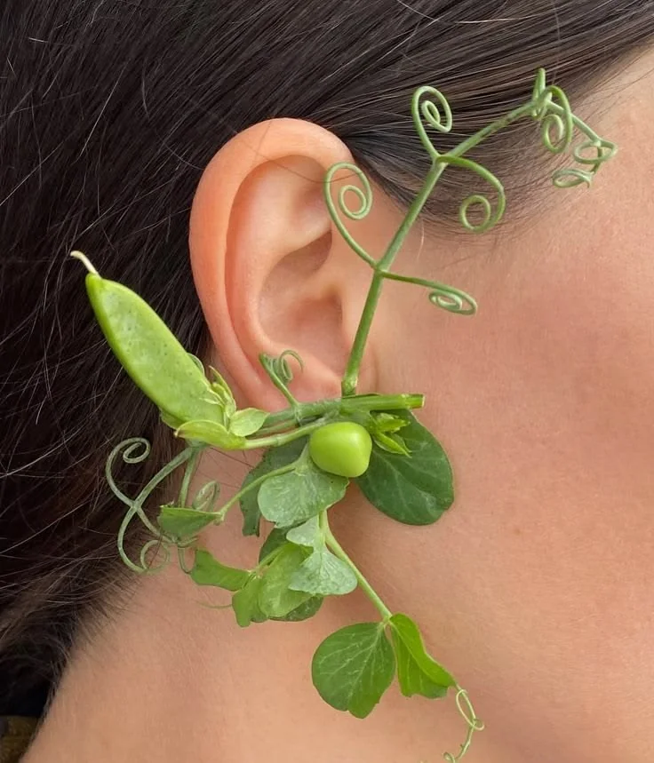 Tiny green leaves and curling stems arranged beside an ear.