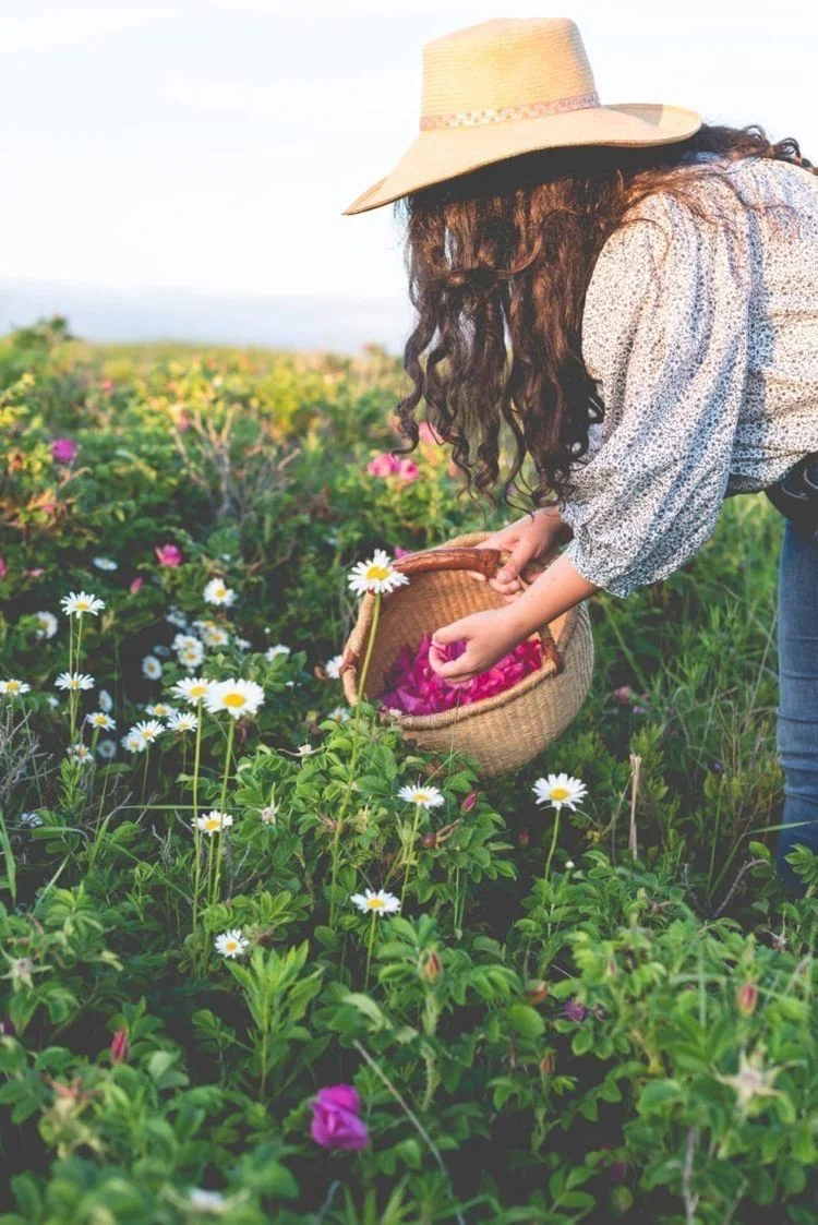 A flower-filled meadow with a basket and a person gathering stems.