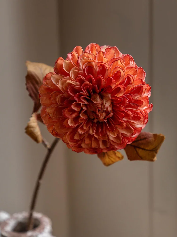 A single copper-orange dahlia in a narrow vase against warm neutral tones.