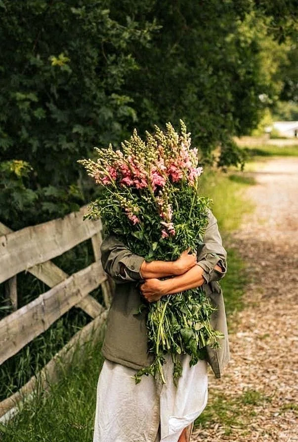 A loose bundle of pink flowers and green stems held beside a garden fence.