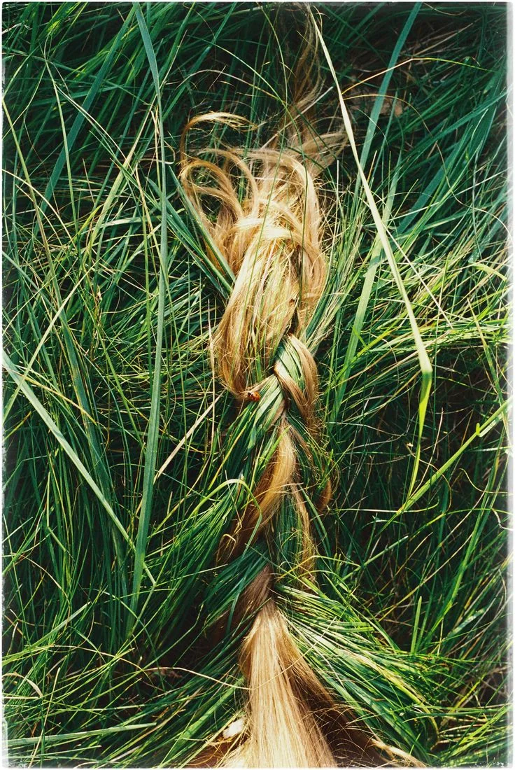 Golden woven grasses resting among green blades outdoors.